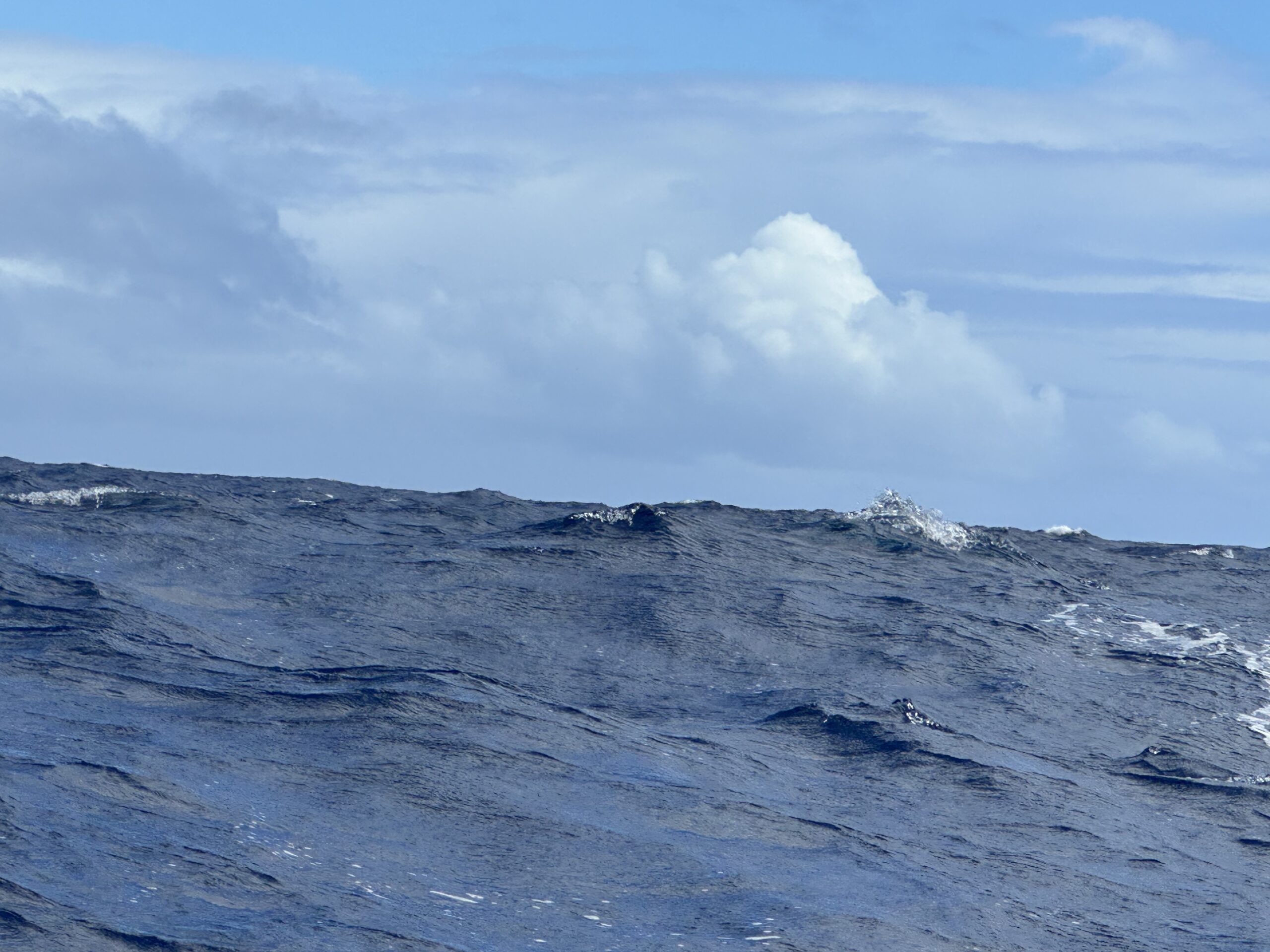 Il mare che resta dentro