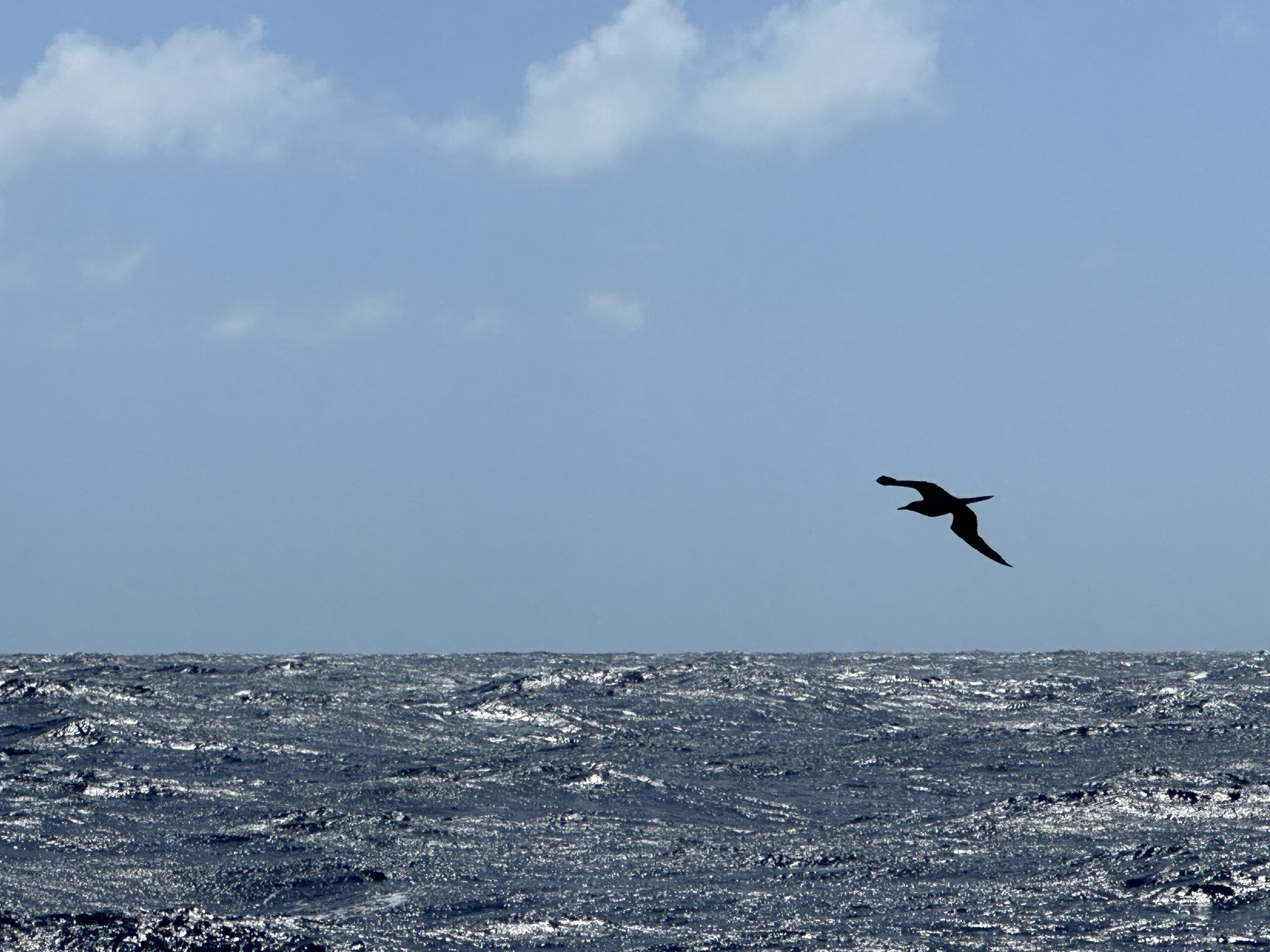 Attraversare non è solo partire